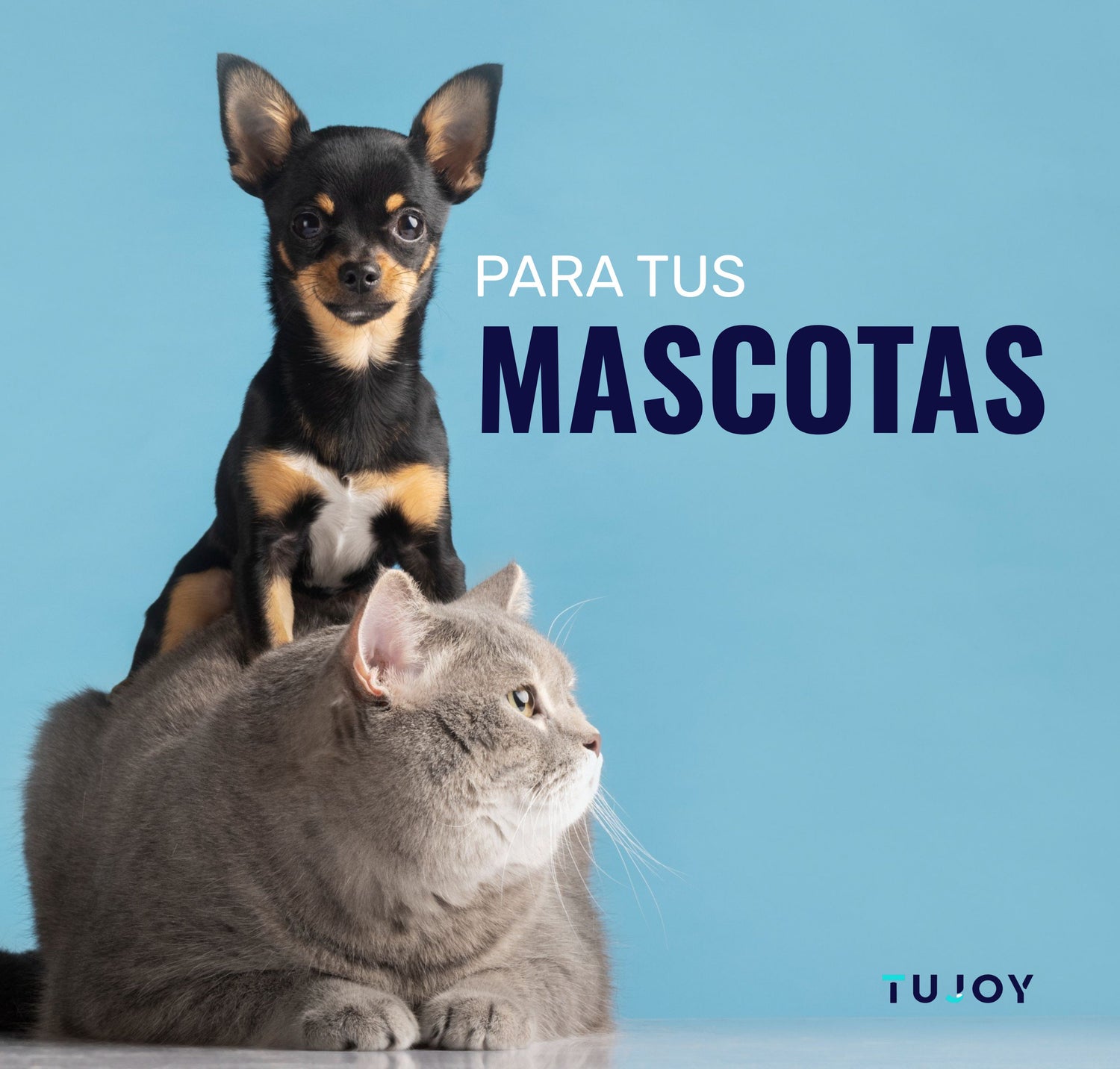 Mascotas